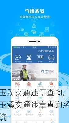 玉溪交通违章查询,玉溪交通违章查询系统