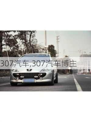 307汽车,307汽车博主