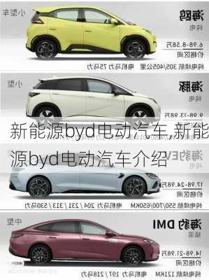 新能源byd电动汽车,新能源byd电动汽车介绍