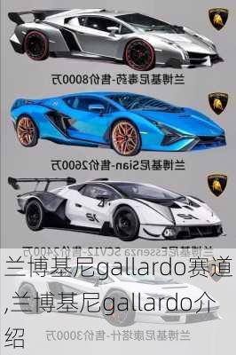 兰博基尼gallardo赛道,兰博基尼gallardo介绍