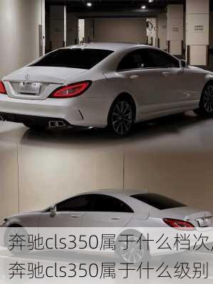 奔驰cls350属于什么档次,奔驰cls350属于什么级别