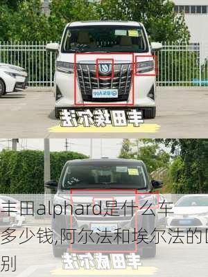 丰田alphard是什么车多少钱,阿尔法和埃尔法的区别