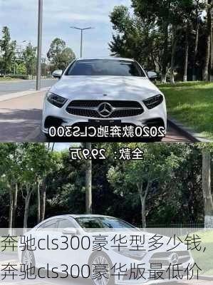 奔驰cls300豪华型多少钱,奔驰cls300豪华版最低价