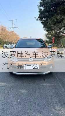 波罗牌汽车,波罗牌汽车是什么车