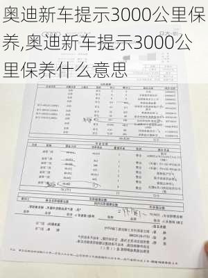 奥迪新车提示3000公里保养,奥迪新车提示3000公里保养什么意思