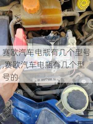 赛欧汽车电瓶有几个型号,赛欧汽车电瓶有几个型号的