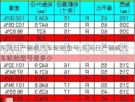 东风日产骊威汽车轮胎型号,东风日产骊威汽车轮胎型号是多少