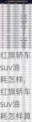 红旗轿车suv油耗怎样,红旗轿车suv油耗怎样算