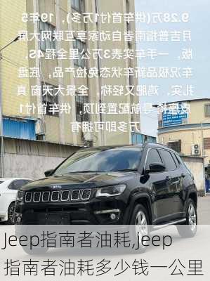 Jeep指南者油耗,jeep指南者油耗多少钱一公里