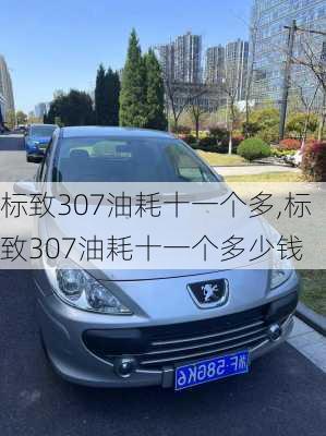 标致307油耗十一个多,标致307油耗十一个多少钱