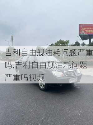 吉利自由舰油耗问题严重吗,吉利自由舰油耗问题严重吗视频