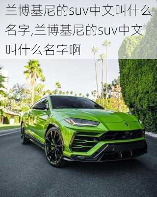 兰博基尼的suv中文叫什么名字,兰博基尼的suv中文叫什么名字啊