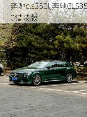 奔驰cls350l,奔驰CLS350猎装版