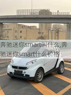 奔驰迷你smart叫什么,奔驰迷你smart什么价格