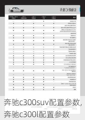 奔驰c300suv配置参数,奔驰c300l配置参数