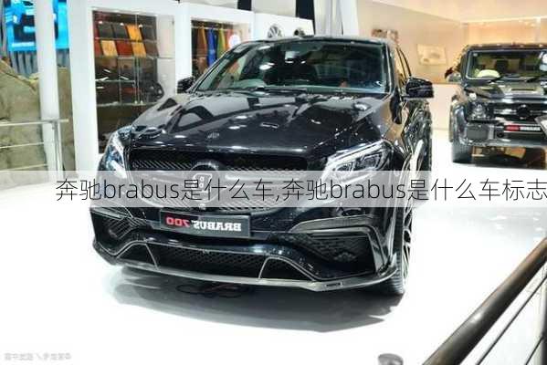 奔驰brabus是什么车,奔驰brabus是什么车标志