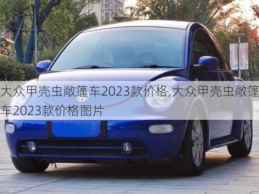 大众甲壳虫敞篷车2023款价格,大众甲壳虫敞篷车2023款价格图片