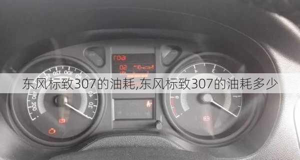 东风标致307的油耗,东风标致307的油耗多少