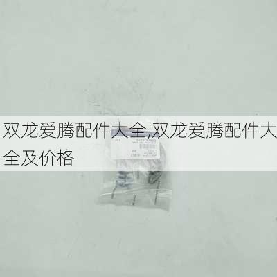 双龙爱腾配件大全,双龙爱腾配件大全及价格