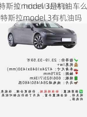 特斯拉model 3是机油车么,特斯拉model 3有机油吗