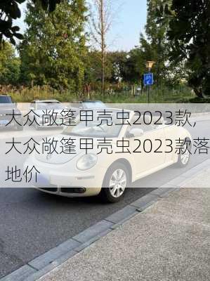 大众敞篷甲壳虫2023款,大众敞篷甲壳虫2023款落地价