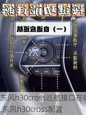 东风h30cross巡航接口在哪,东风h30cross配置