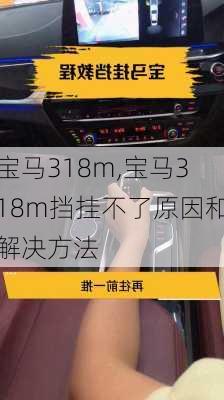 宝马318m,宝马318m挡挂不了原因和解决方法