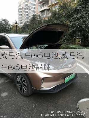 威马汽车ex5电池,威马汽车ex5电池品牌