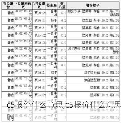 c5报价什么意思,c5报价什么意思啊