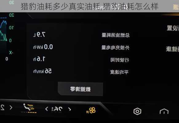 猎豹油耗多少真实油耗,猎豹油耗怎么样