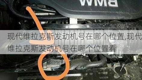 现代维拉克斯发动机号在哪个位置,现代维拉克斯发动机号在哪个位置看