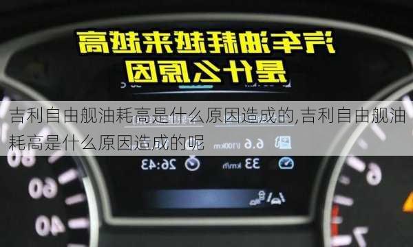 吉利自由舰油耗高是什么原因造成的,吉利自由舰油耗高是什么原因造成的呢