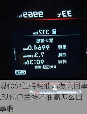 现代伊兰特耗油高怎么回事,现代伊兰特耗油高怎么回事啊