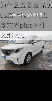 为什么五菱宏光plus路上很少见,五菱宏光plus为什么那么贵