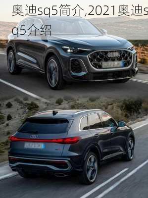 奥迪sq5简介,2021奥迪sq5介绍