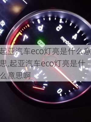 起亚汽车eco灯亮是什么意思,起亚汽车eco灯亮是什么意思啊