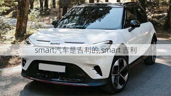 smart汽车是吉利的,smart 吉利