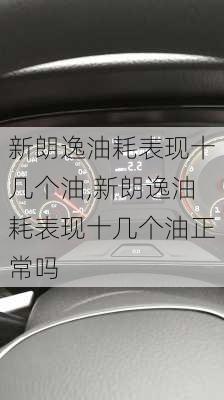 新朗逸油耗表现十几个油,新朗逸油耗表现十几个油正常吗