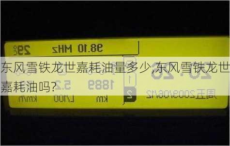 东风雪铁龙世嘉耗油量多少,东风雪铁龙世嘉耗油吗?
