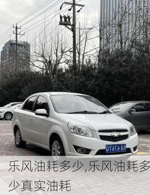 乐风油耗多少,乐风油耗多少真实油耗