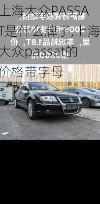上海大众PASSAT是什么牌子,上海大众passat的价格带字母