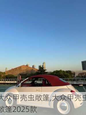 大众甲壳虫敞篷,大众甲壳虫敞篷2025款