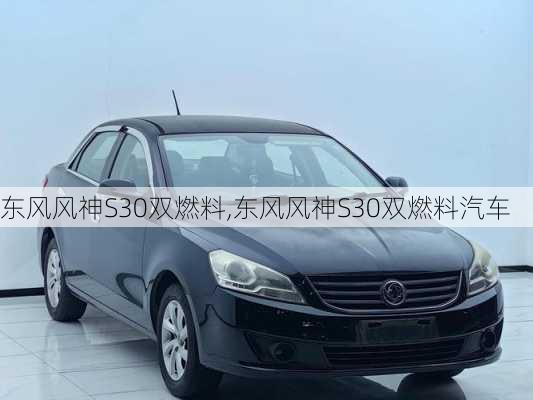 东风风神S30双燃料,东风风神S30双燃料汽车