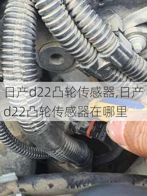 日产d22凸轮传感器,日产d22凸轮传感器在哪里