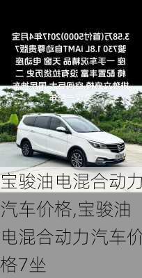宝骏油电混合动力汽车价格,宝骏油电混合动力汽车价格7坐