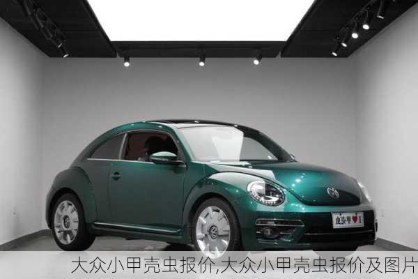 大众小甲壳虫报价,大众小甲壳虫报价及图片