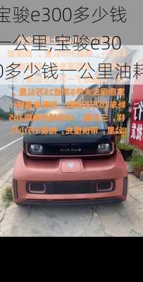 宝骏e300多少钱一公里,宝骏e300多少钱一公里油耗