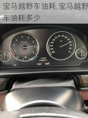 宝马越野车油耗,宝马越野车油耗多少