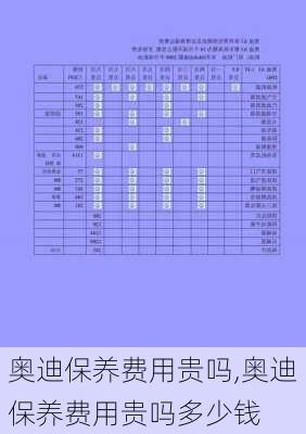 奥迪保养费用贵吗,奥迪保养费用贵吗多少钱