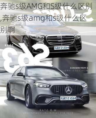 奔驰s级AMG和S级什么区别,奔驰s级amg和s级什么区别啊